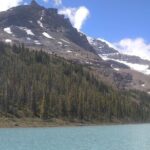 Hiking the Columbia Icefields Region with Your Private Guide - Who Will Love This Tour?