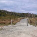 Hiking Trail at Louisbourg Lighthouse Scenic Coastal Views Tour - Why This Tour Is Worth Considering