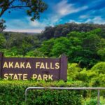 Hilo: Akaka Falls, Volcanoes, and Rainbow Falls Guided Tour - What You’ll See and Do