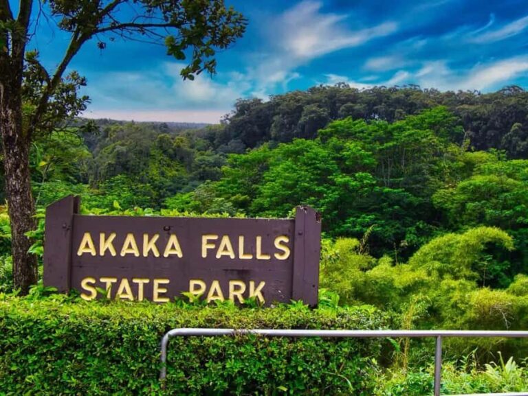 Hilo: Akaka Falls, Volcanoes, and Rainbow Falls Guided Tour - What You’ll See and Do
