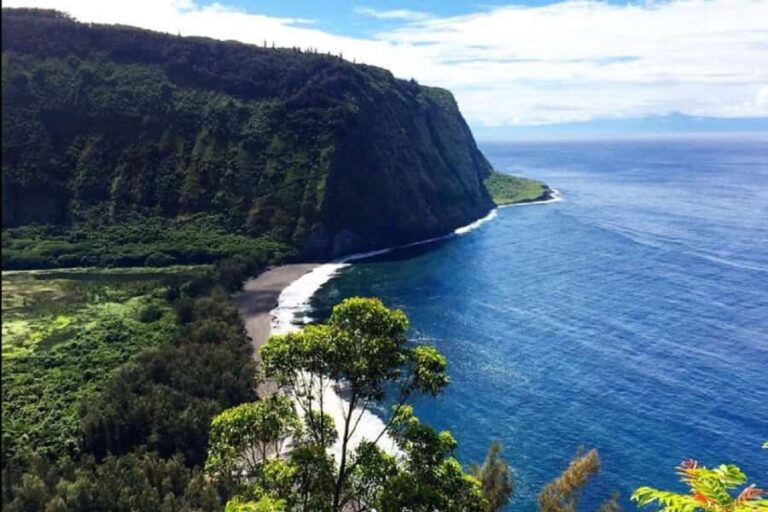 Hilo Bay & Coconut Kayak Adventure - The Value of This Experience