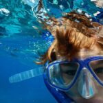Hilo: Guided Snorkeling Tour with Nature Walk and Snacks - A Detailed Look at the Tour Experience