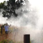 Hilo: Hawaii Volcanoes National Park and Hilo Highlights - Who Will Love This Tour?