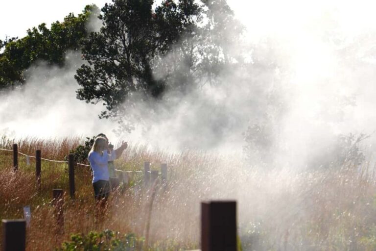 Hilo: Hawaii Volcanoes National Park and Hilo Highlights - Who Will Love This Tour?