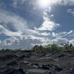 Hilo: Kilauea Fissure 8 Hiking, Volcanoes and Waterfalls - Food and Comfort