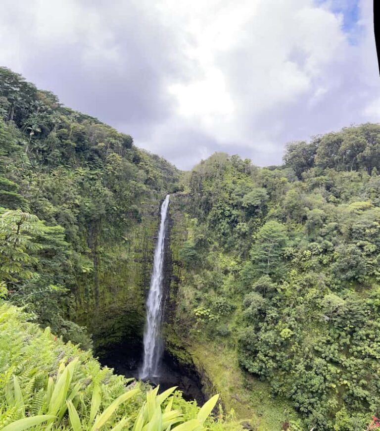 Hilo Shore Excursion: Majestic Waterfalls - What Does the Price Include and What’s Not?