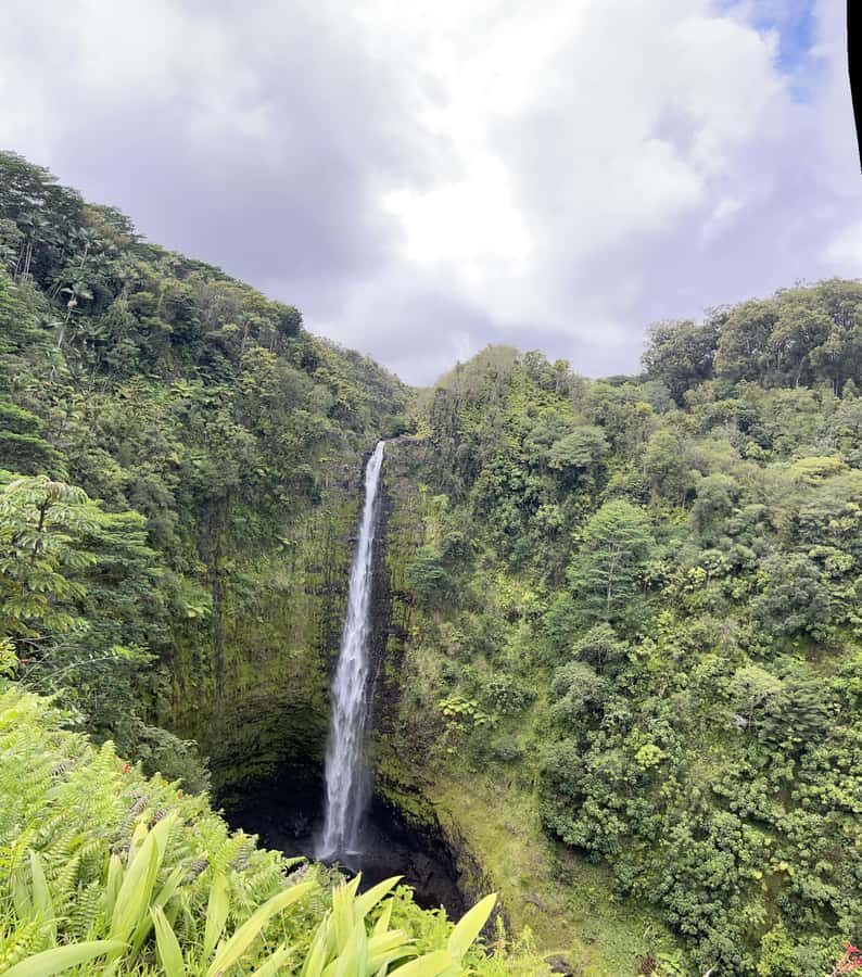Hilo Shore Excursion: Majestic Waterfalls - What Does the Price Include and What’s Not?