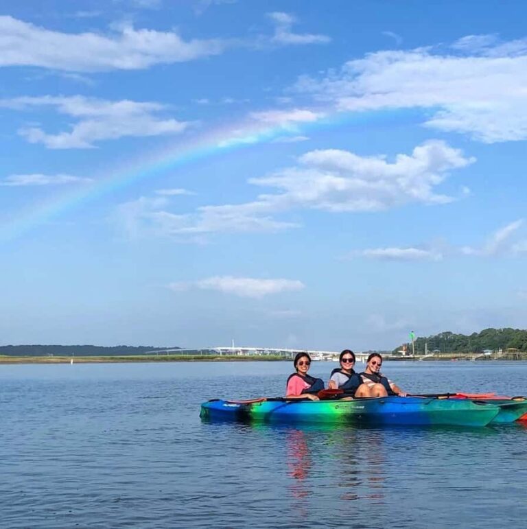 Hilton Head: 2-Hour Kayak Dolphin Nature Tour - Who Will Love This Tour?