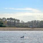 Hilton Head: Private Dolphins & Tubing Adventure - Is It Worth the Price?