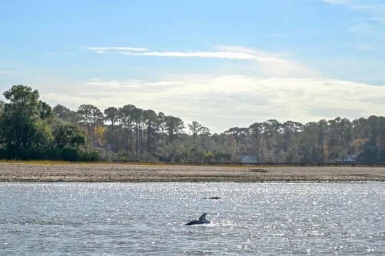Hilton Head: Private Dolphins & Tubing Adventure - Is It Worth the Price?
