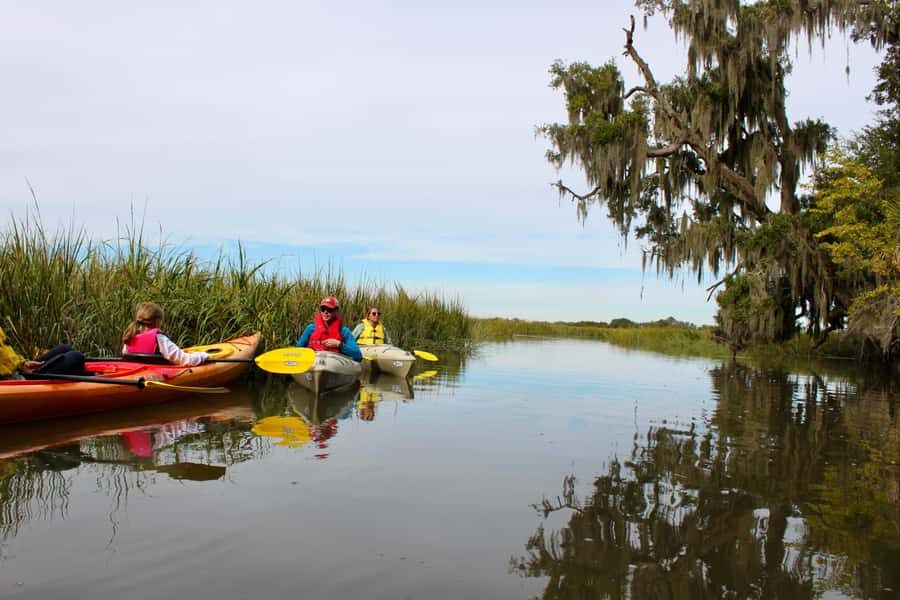 Hilton Head: Private Outback Kayak Tour - Who Should Consider This Tour?