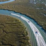 Hilton Head Sunset Dolphin and Sightseeing Tour via Mini Boat - An In-Depth Look at the Hilton Head Sunset Dolphin Tour