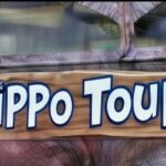 Hippo Splash Amphibious Tour in Cozumel - The Itinerary in Detail