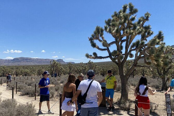 Historic Grand Canyon Western Ranch by Van with Helicopter Tour - Final Thoughts: Is This Tour Right for You?