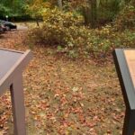 Historical Tour of Northern Virginia - Summary: Who Will Love This Tour?