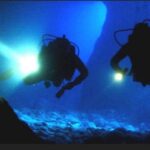 Hol Chan Marine Park night dive - Who Will Love This Tour?