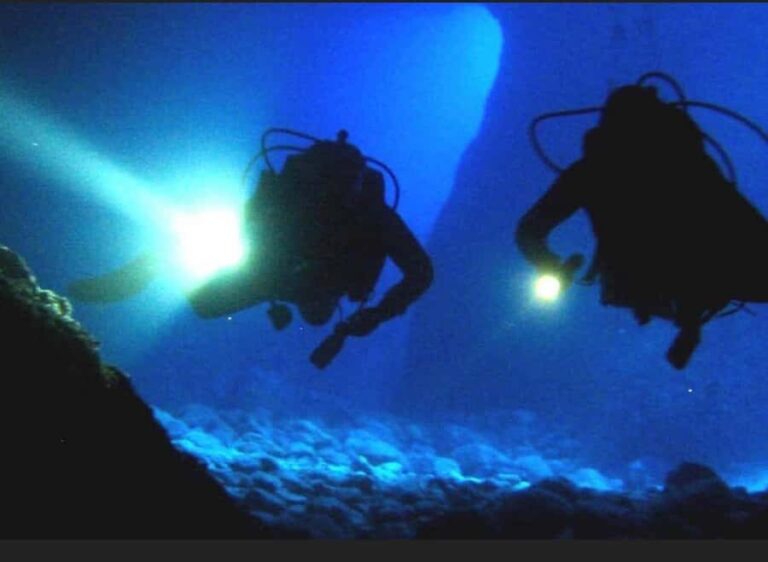 Hol Chan Marine Park night dive - Who Will Love This Tour?