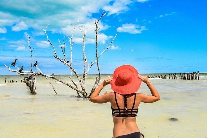 Holbox adventure and Pasion Island Cenote - What to Expect on This Tour