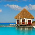 Holbox and Passion Island Full-Day Tour with Cenote, Transportation and Lunch - What Travelers Are Saying