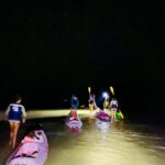 Holbox: Bioluminescence Kayaking and Stargazing - The Value of the Experience