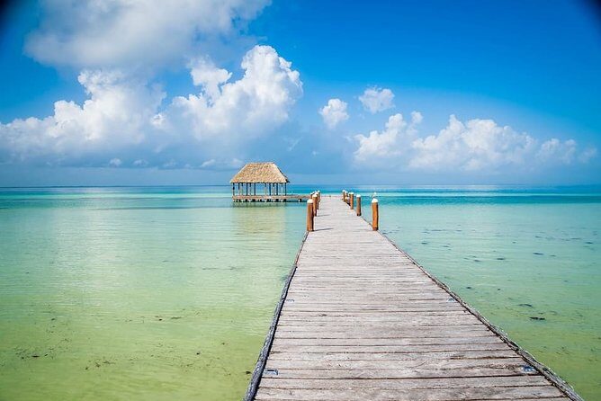 Holbox, Cenote & Two Island! + Punta Mosquito from Cancun - Practical Tips for the Best Experience