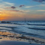 Holbox: Guided Bioluminescence Kayaking Tour - The Bioluminescence Phenomenon