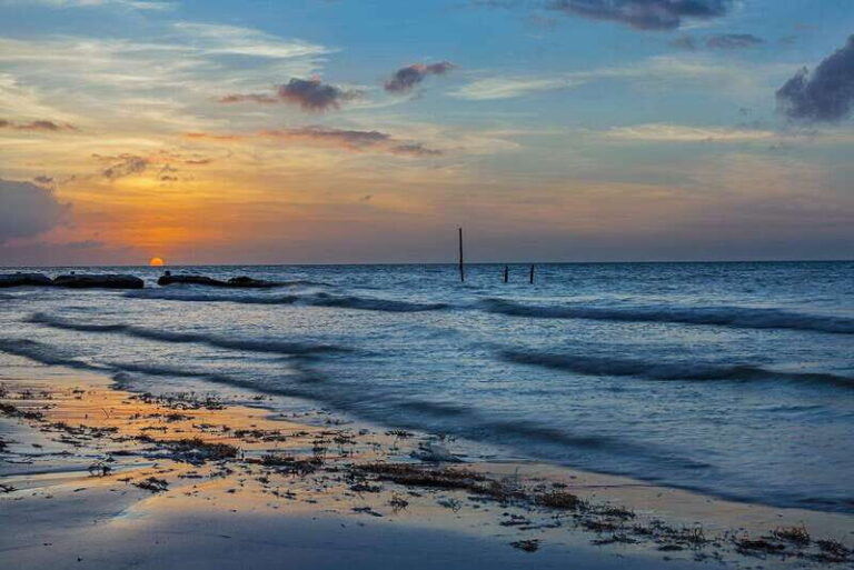 Holbox: Guided Bioluminescence Kayaking Tour - The Bioluminescence Phenomenon