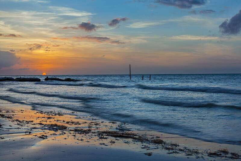 Holbox: Guided Bioluminescence Kayaking Tour - The Bioluminescence Phenomenon