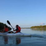 Holbox: Guided Sunrise/Sunset Kayak Tour by Mangrove Reserve - Practical Considerations