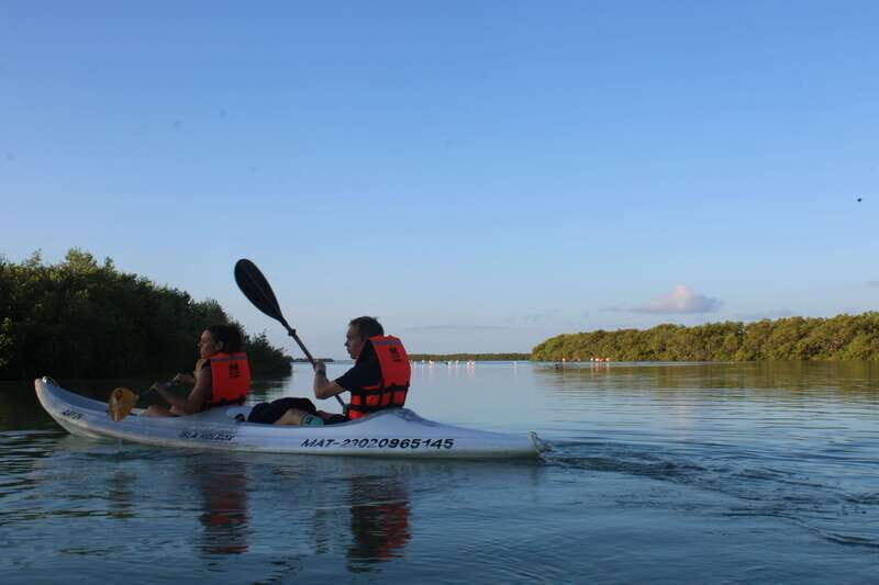 Holbox: Guided Sunrise/Sunset Kayak Tour by Mangrove Reserve - Practical Considerations