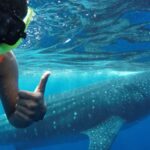 Holbox Island: Swim with Whale Sharks, All-Inclusive - What Makes This Tour Stand Out?
