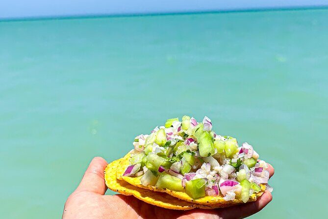 Holbox Island Tour From Cancun with PickUp - Over the Shallows to Punta Mosquito