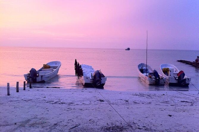 HOLBOX ISLAND TOUR - from Holbox (Private) - The Experience in Practice: Authentic or Touristy?