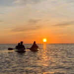 Holbox: Mangrove Sunset Kayak Tour - Practical Details: What to Know Before Booking