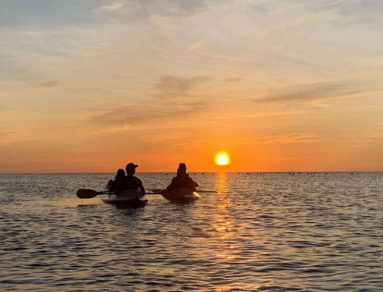 Holbox: Mangrove Sunset Kayak Tour - Practical Details: What to Know Before Booking