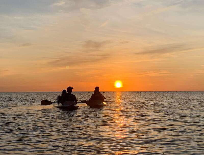 Holbox: Mangrove Sunset Kayak Tour - Practical Details: What to Know Before Booking
