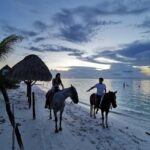 Holbox: Private Horseback Riding - What You Can Expect During the Ride