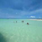 Holbox: Punta Mosquitos, Birds & Pasión Island Boat Tour - What You Can Expect from the Tour