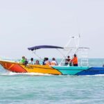 Holbox: Search and Swim with Whale Sharks ! All Inclusive. - An In-Depth Review of the Holbox Whale Shark Tour