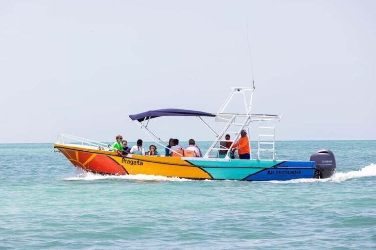 Holbox: Search and Swim with Whale Sharks ! All Inclusive. - An In-Depth Review of the Holbox Whale Shark Tour