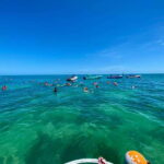 Holbox: Snorkeling, Fishing, and Ceviche Tour - An Honest Breakdown of the Tour Experience