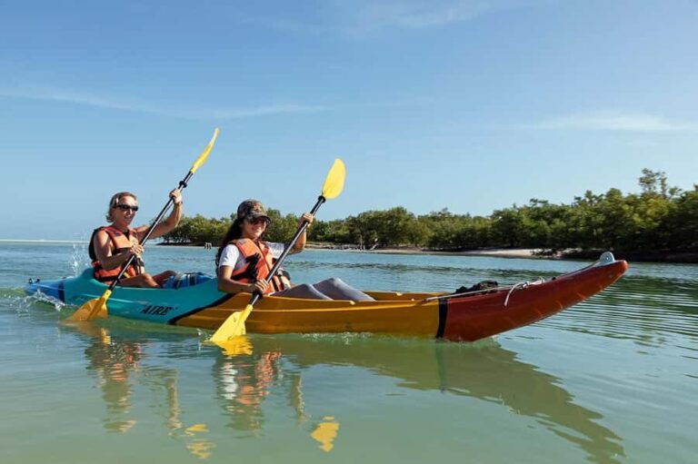 Holbox: Sunrise Kayak Tour through the Mangroves - What’s Included and What’s Not