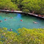 Holbox The Living Dream by boat from Playa del Carmen - Transportation and Timing