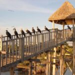 Holbox: Three Islands Tour - Is the Price Right? A Value Perspective