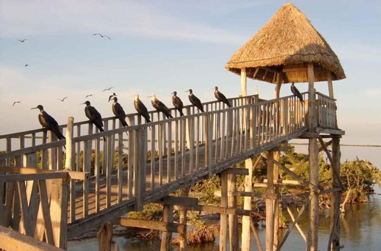 Holbox: Three Islands Tour - Is the Price Right? A Value Perspective