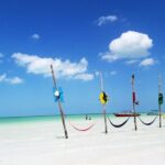 Holbox tour from Cancun and Riviera Maya - What Travelers Are Saying