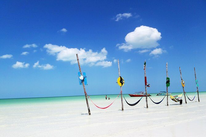 Holbox tour from Cancun and Riviera Maya - What Travelers Are Saying