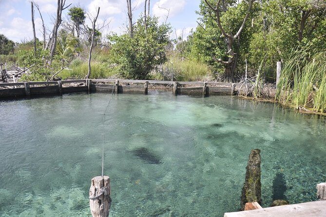 Holbox Tour - Island & Cenote from Cancun and Playa del Carmen - The Cost and What It Means for You