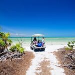 Holbox Tour with Ferry transportation and lunch included - Who Will Love This Tour?