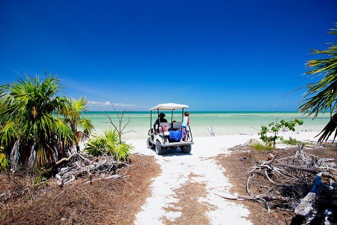 Holbox Tour with Ferry transportation and lunch included - Who Will Love This Tour?